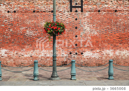 レンガ壁 レンガ壁 3665008