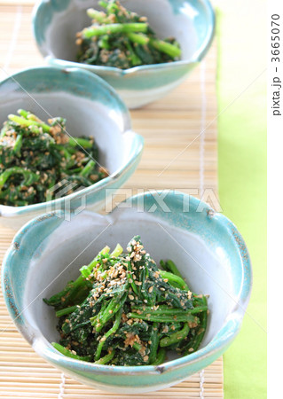 ほうれんそうのごま和え 3665070