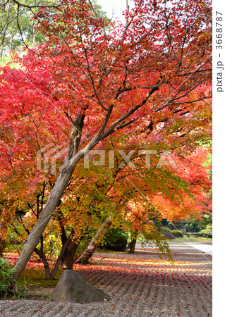 旧細川刑部邸 3668787