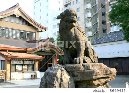 東京有数の観光スポット浅草寺を訪れて 東京有数の観光スポット浅草寺を訪れて 3669455