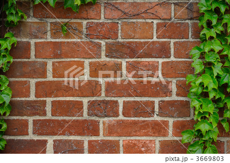 赤レンガとツタ 赤レンガとツタ 3669803