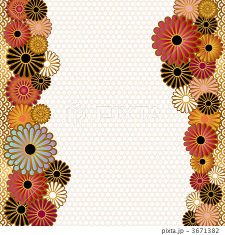和柄 花 菊のイラスト素材 3671382 Pixta