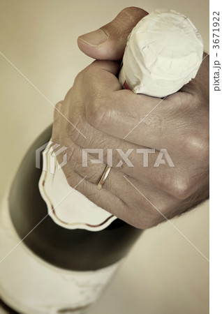 wedding champagne(special photo f/x,focus on the finger with rin 3671922