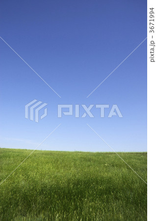 summer landscape 3671994