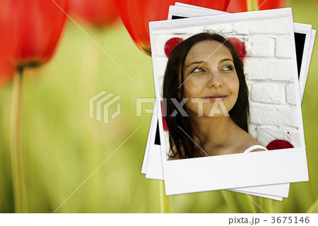 summer girl summer girl 3675146