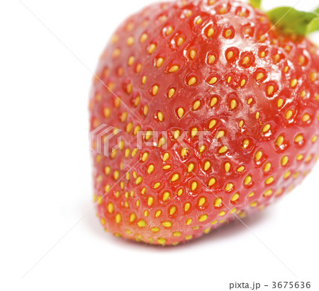 strawberry 3675636
