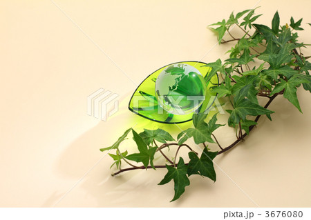 ガラスの地球とツタ (Y) ガラスの地球とツタ (Y) 3676080