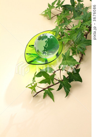 ガラスの地球とツタ (T) ガラスの地球とツタ (T) 3676086