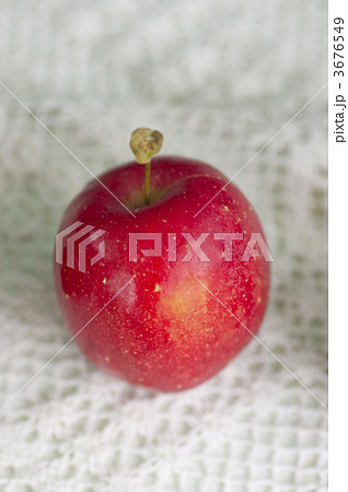 ひめりんご 3676549