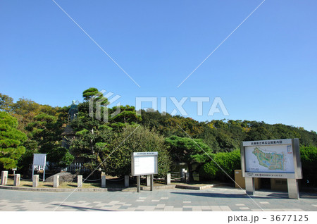 兵庫県立明石公園 兵庫県立明石公園 3677125