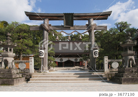 松蔭神社 3677130