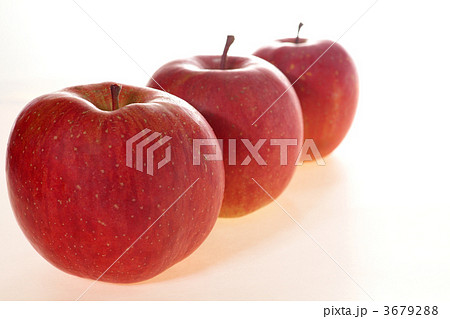 リンゴ狩りに行った 3679288