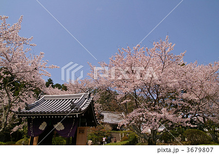 九品寺 九品寺 3679807