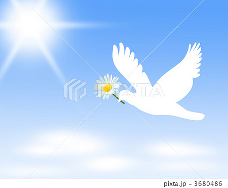 青空とハト 鳩 鳩 青空 空 平和 和平 デージー 花のイラスト素材