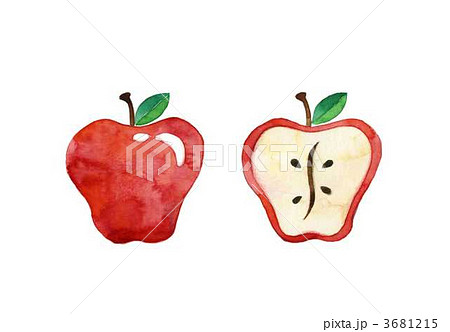 リンゴのイラスト素材 3681215 Pixta