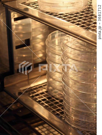 恒温培養 3681712