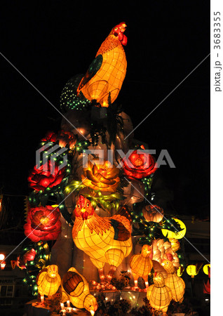 ランタンフェスタ 3683355