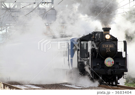 C56 160+12系「SL北びわこ」号 3683404