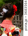 七五三 3683564