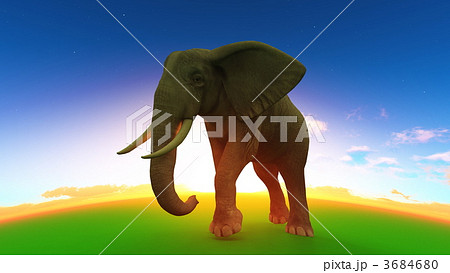 アフリカゾウ 象 地平線のイラスト素材