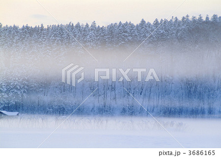 霧の風景 3686165