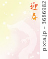 迎春 龍 迎春 龍 3686982