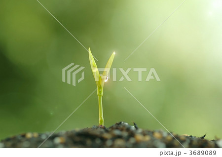 伸びる力 伸びる力 3689089