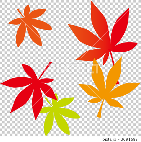 紅葉した葉っぱのイラスト素材