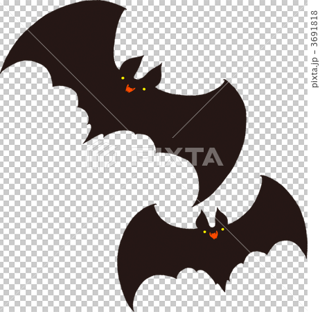 蝙蝠 3691818
