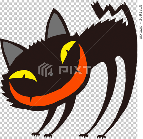 黒猫 3691819