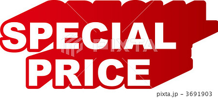SPECIAL PRICE 3691903