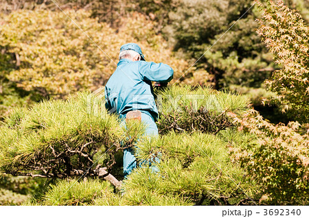 剪定作業 3692340