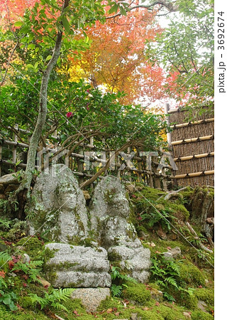 秋の化野念仏寺 秋の化野念仏寺 3692674