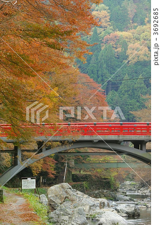 秋の清滝川 3692685