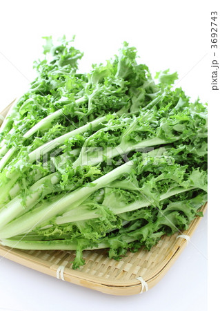 エンタイブ 3692743