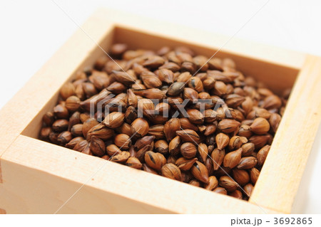 麦茶用六条大麦 3692865