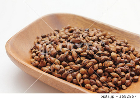 麦茶用六条大麦 3692867