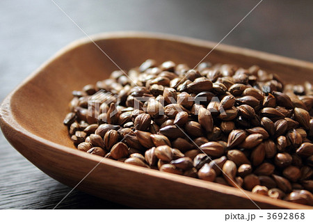 麦茶用六条大麦 麦茶用六条大麦 3692868