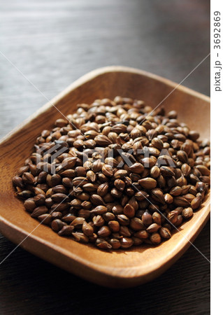 麦茶用六条大麦 3692869