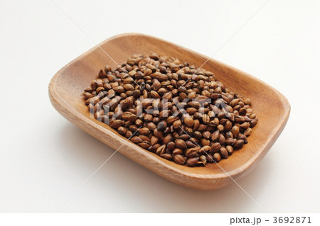 麦茶用六条大麦 3692871