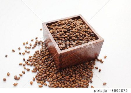 麦茶用六条大麦 3692875