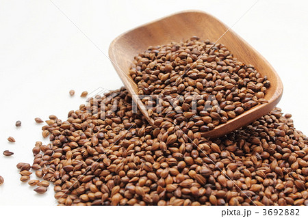 麦茶用六条大麦 3692882