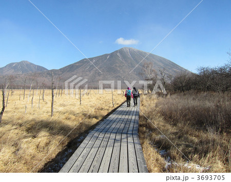 栃木県 12月の戦場ヶ原の写真素材 [3693705] - PIXTA