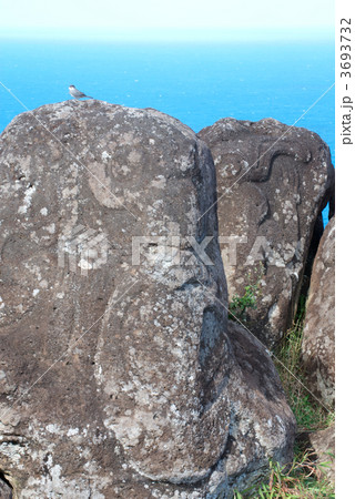 世界遺産　ラパ・ヌイ国立公園　オロンゴ岬のペトログリフと海鳥。チリ・イースター島。２０１０年７月撮影 3693732