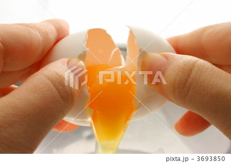 たまご たまご 3693850