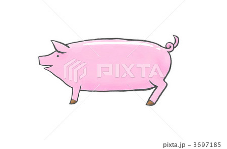 豚 横向き 家畜のイラスト素材