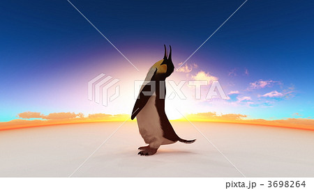 野鳥 ペンギン 皇帝ペンギンのイラスト素材