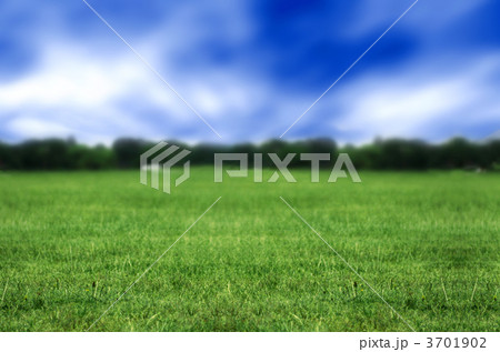park view park view 3701902