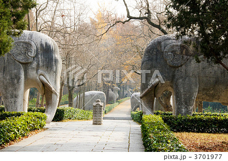 南京明孝陵石像 南京明孝陵石像 3701977