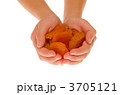 おいしそうなドライアプリコットを大事に持つ子供の手 3705121
